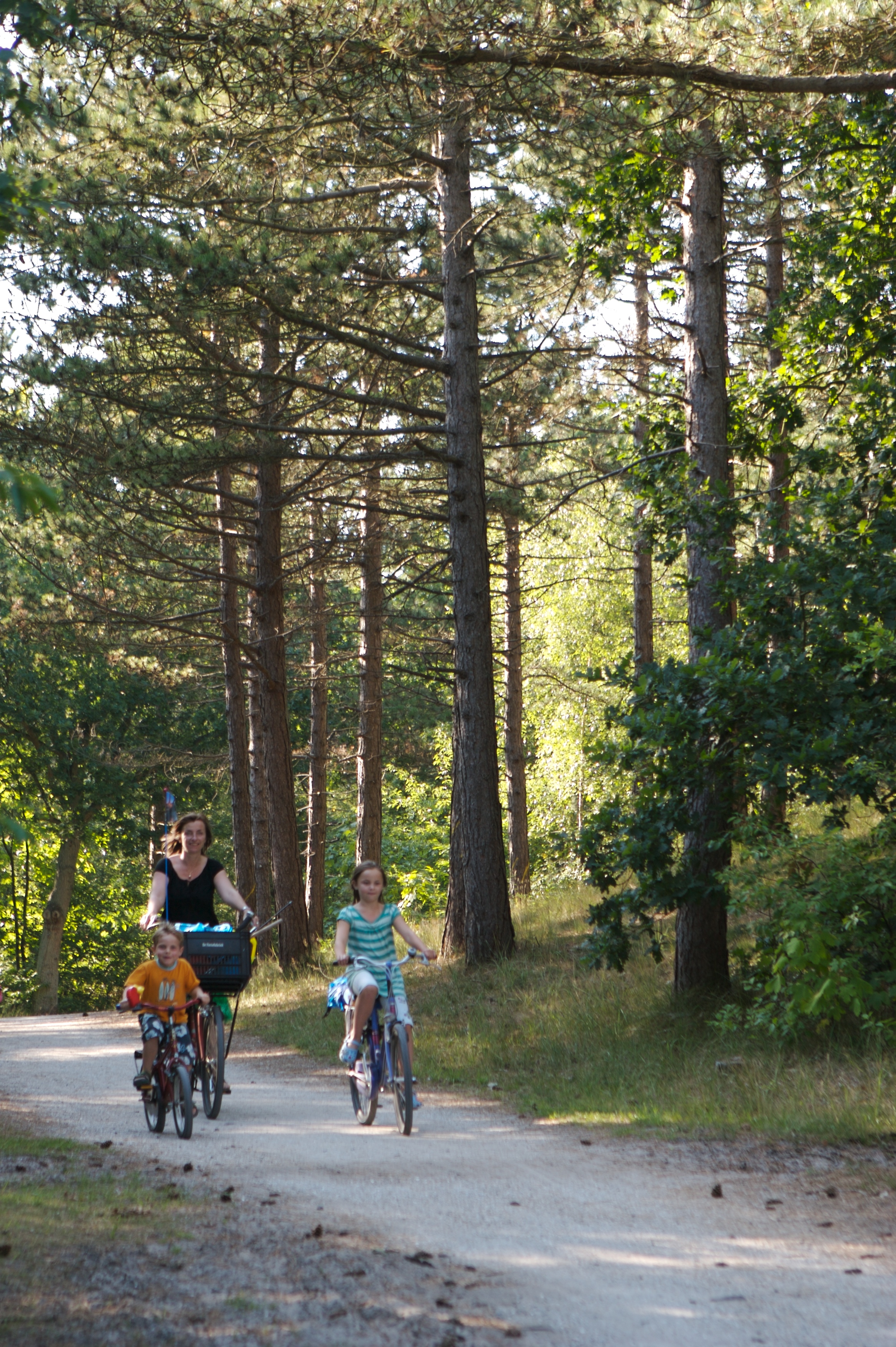Dennenbos_fietsers