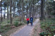Regio Dennenbos